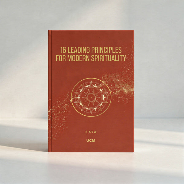 16 Leading Principles for a Modern Spirituality (soon available in English) 