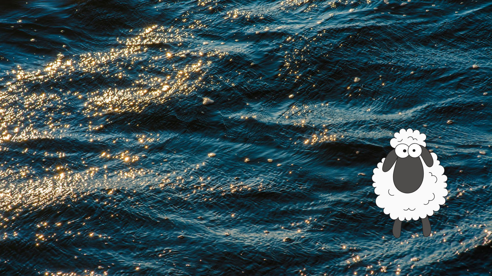 Un mouton meurt dans l’océan - 06/10/2025