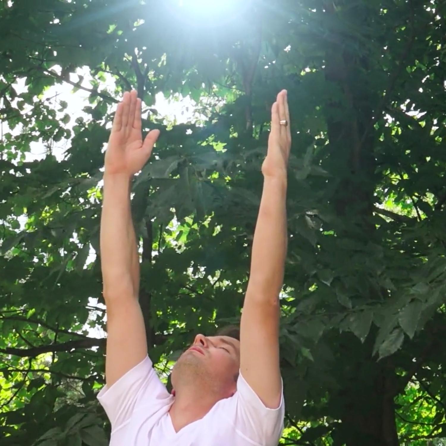 Der himmlische Stecker - Angelica Yoga - Kurs 1.4