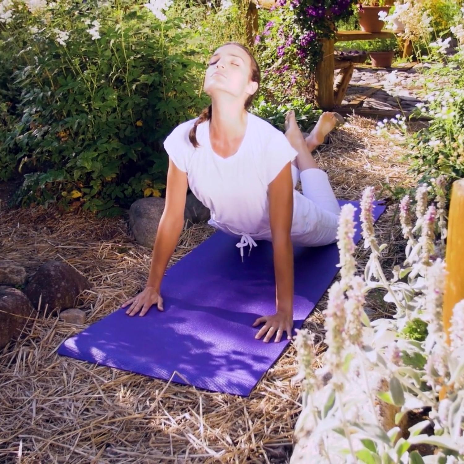 Das Herz öffnen - Angelica Yoga - Kurs 2.11