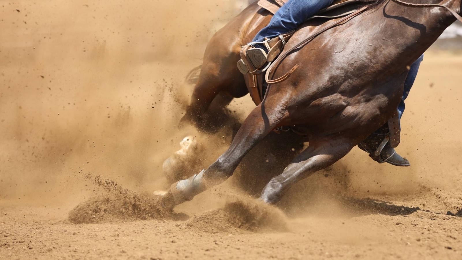 La course de chevaux