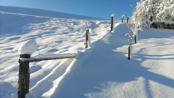 La neige et la lave