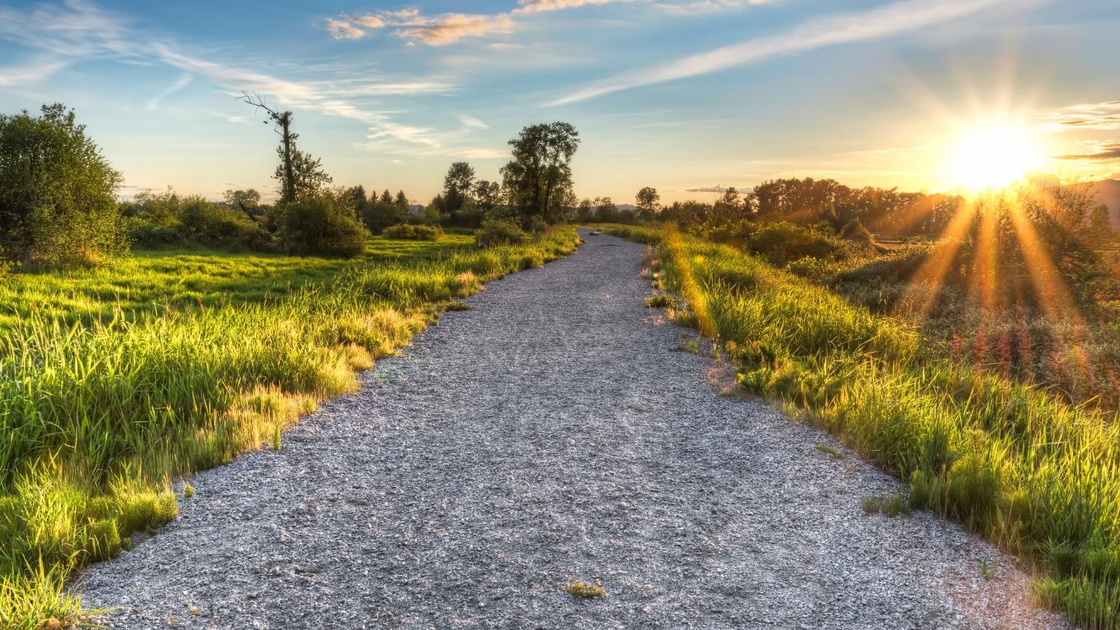 Le Chemin de ma Vie