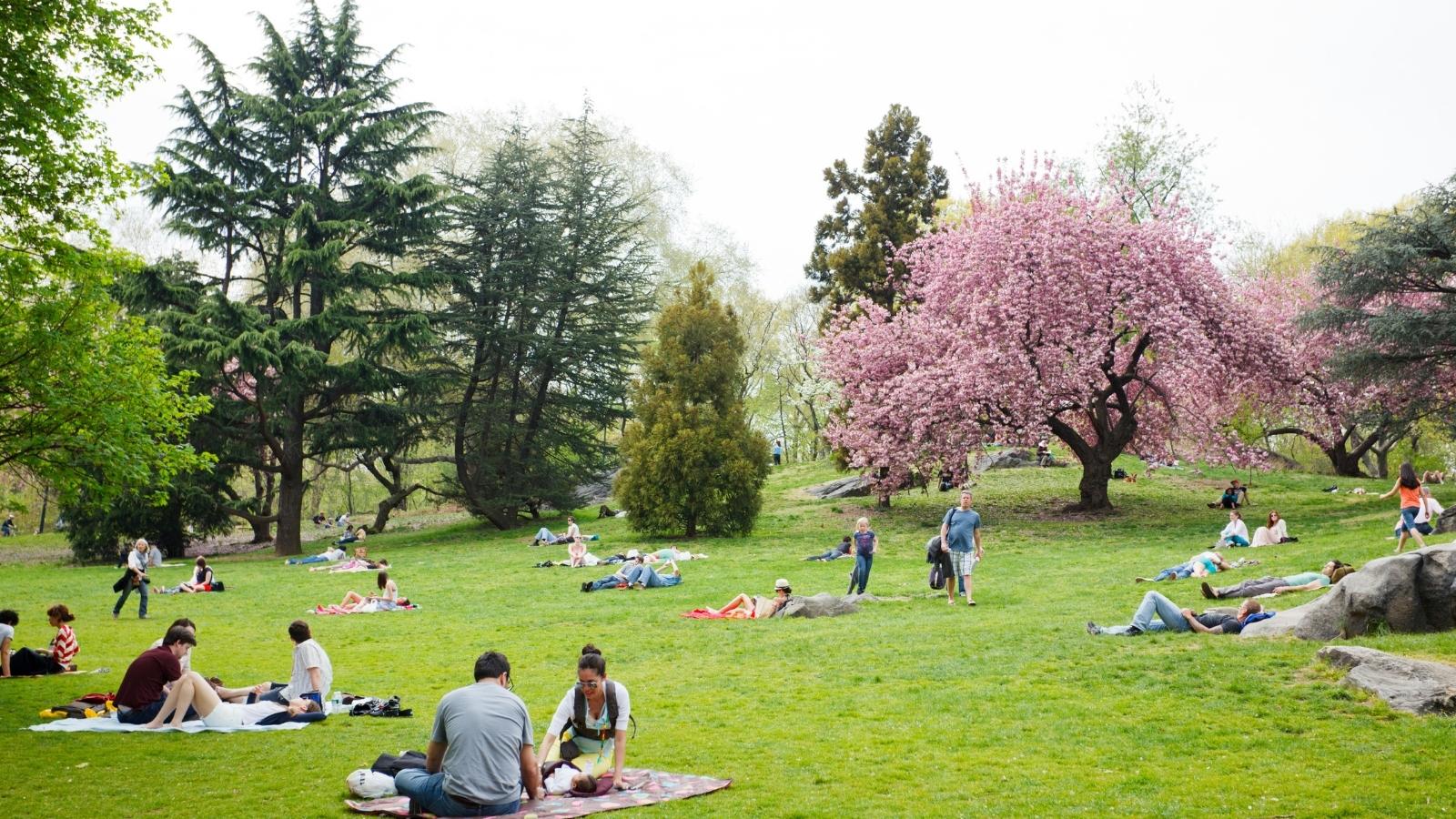 Le parc coloré UCM Center