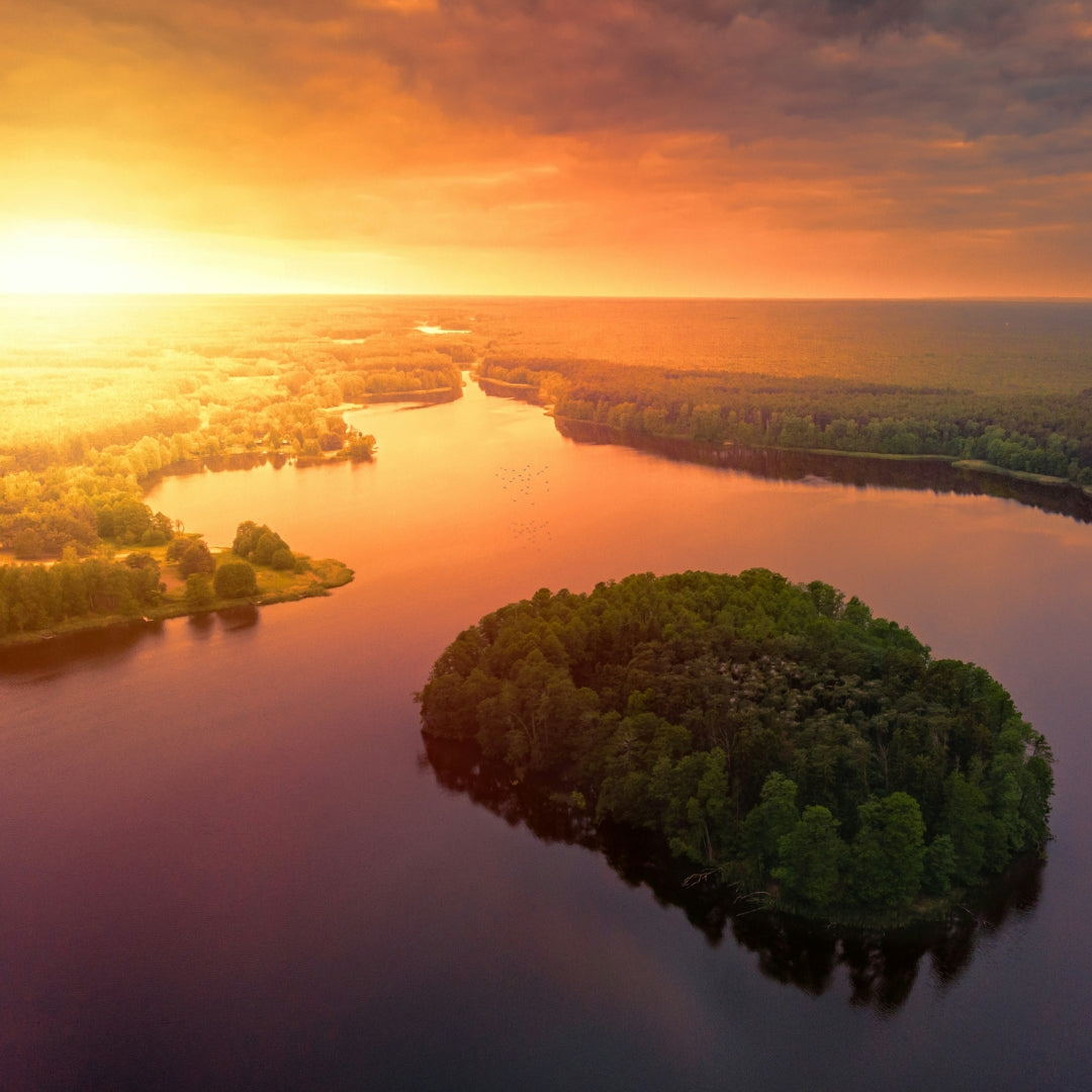 Formation gratuite | 7 jours de rêves