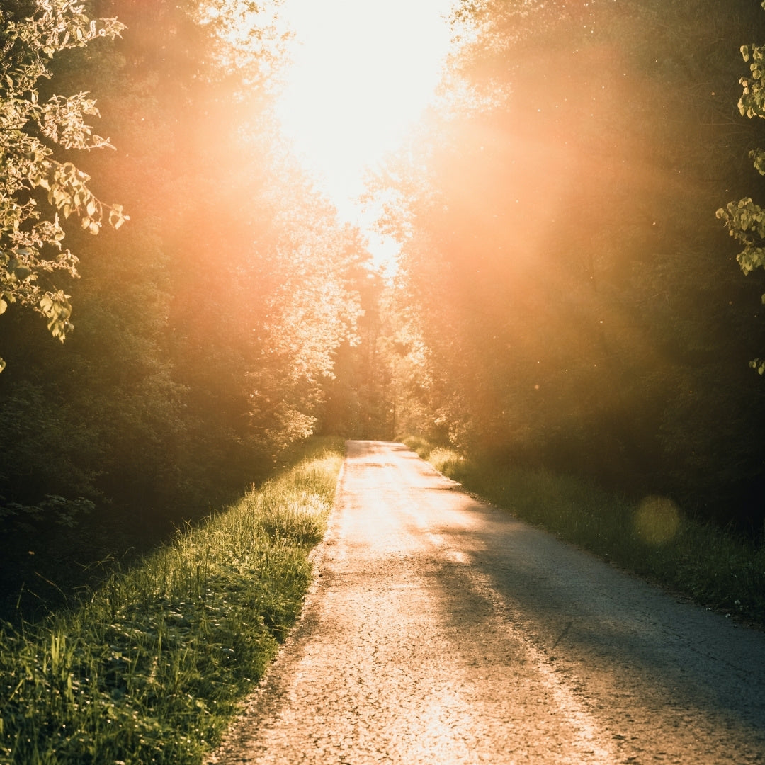 Free training | 7 Angelic Days